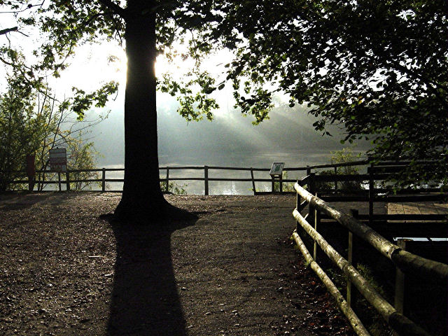 Black Park